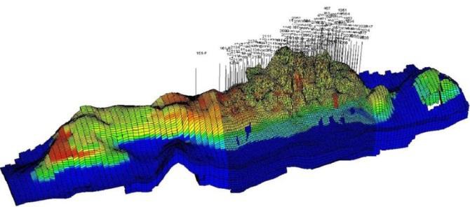 Basic Petroleum Geophysics