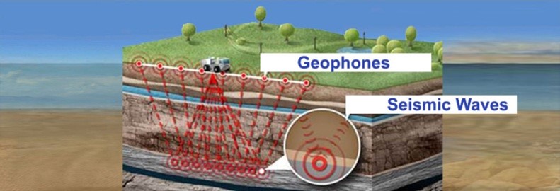 Geophysical Seismic