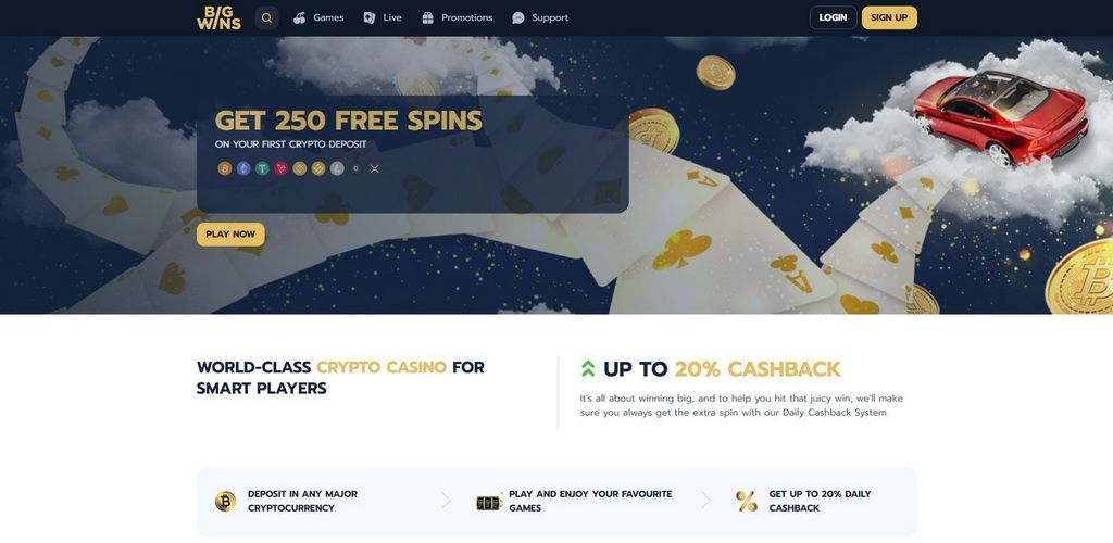 Big Wins Gambling Enterprise Review: Software